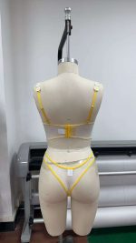 Women's Sexy Lingerie Set New Fresh and Refined Waistband Design, Widened Belt for More comfort - 图片 3