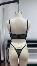 Women's Summer Sexy Elegant Bra Panties Set Transparent Butterfly Heavy Embroidery with Seamless Waistband Plain Dyed Techniques - 图片 3