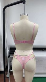 Women's Sexy Floral Embroidered Lace Underwire Push-Up Lingerie Set Women's Summer Style Jersey Fabric Thin Underwear - 图片 3