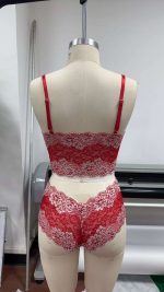 Sweet Lace Floral Embroidered Sexy Lingerie Pure Desire Tempting See-Through Three-Point Boxer Design Hot Transparent Floral - 图片 3