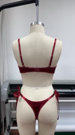 Women's Sexy Lingerie Set with Underwire Bra Featuring Logo on Waist to Prevent Sagging - 图片 3