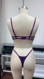 Wholesale Young Lady Fancy Push up Embroidered See Through Bra Top Sexy Bandage Erotica Bra Panty Set - 图片 3