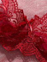 French Lace Embroidery Sexy Bra & Brief Set Low-Rise Underwire with Logo Waist Solid Pattern Thongs Prevents Sagging - 图片 3