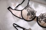 Wholesale Young Lady Fancy Push up Embroidered See Through Bra Top Sexy Bandage Erotica Bra Panty Set - 图片 3