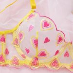 Factory Hot Sale Women's Sexy Lace Erotic Lingerie Set Bra Panties Underwear Set - 图片 3