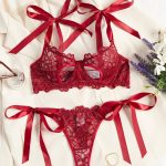 No Minimum Lingerie Women's Underwear Set Sexy Lace Erotic Lingerie Set Female Underwear Set Lace Bra Panties Underwear Women - 图片 3