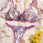 High Quality Hot Sexy New Design Transparent Hot Sexy Bra Panty Set Lace Lingerie Women Bra and Panty Underwear Set - 图片 3