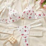 Wholesale Design Hot Sexy New Design Transparent Hot Sexy Bra Panty Set Lace Lingerie Women Bra and Panty Underwear Set - 图片 3