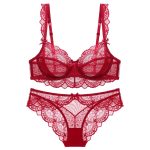 High Quality Sexy Madam French Bra Lingerie Hollow See-through Mesh Bra Underwear Ultra-thin Set for Women Sexy Lingerie Set - 图片 3