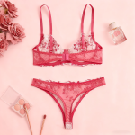 Factory Made Sexy Exotic Women's Clothing Sexy Underwear Set Women Sexy Bra and Thong Garter Belt Sets Sexy Lingerie - 图片 3