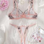 New Mesh Fabric Sexy and Seductive See-through Embroidered Lace Halter Bra Set for Women's Lingerie - 图片 3