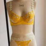 A New Two-piece Set of Halter Lace Mesh See-through Embroidered Lace with Triangle Pants and Sexy Underwear - 图片 3