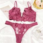 European and American Erotic Lingerie with a Deep Feminine Touch, V-embroidered Ultra-thin Lace Bra, Sexy Lingerie Set - 图片 4