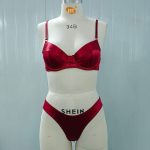A Two-piece Set of Exquisite French Tinted Bras with Steel Rings and Romantic Lingerie From Europe and America - 图片 4