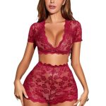 New European and American Lace Mesh Embroidery Transparent Patchwork Transparent Underwear Sexy and Interesting Underwear Set - 图片 4