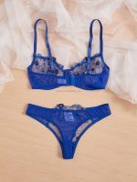 Female Embroidered Mesh Underwire Lenceria Blue Sexy Underwear Bra & Brief Conjuntos Lingerie Bralete Sets - 图片 4