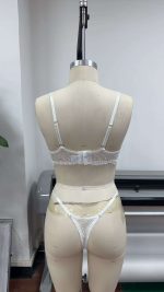 Wholesale Sexy White Lace Exotic Lingerie Set for Women Bralette G-String Panty with Crocheted Lace Decoration Custom Logo - 图片 4