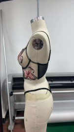 Women's Summer Sexy Elegant Bra Panties Set Transparent Butterfly Heavy Embroidery with Seamless Waistband Plain Dyed Techniques - 图片 4