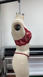 Hot-Selling Floral Embroidery Sexy Lingerie Thong Set Soft Embroidery Sheer Mesh Bra & Briefs Pure Desire Lingerie - 图片 4