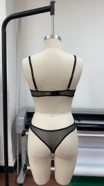 Women's Sexy Pure Desire Floral Embroidery Lace Push-up Side Breast Control Lingerie Set Logo Positioned Waist Bra & Briefs - 图片 4