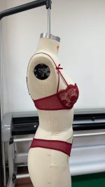 French Lace Embroidery Sexy Lingerie Set Low-Rise Underwire Bra with Logo on Waist to Prevent Sagging Solid Pattern Thongs - 图片 4