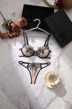 Wholesale Young Lady Fancy Push up Embroidered See Through Bra Top Sexy Bandage Erotica Bra Panty Set - 图片 4