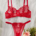 2025 New Design Womens Sets Lace Lingerie Sexy Ladies Underwear Lingerie Set Lace for Women's Clothing Sexy Lingerie Ladies - 图片 4