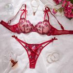 Erotic Lingerie Set Sexy See-Through Pink Mesh Heart Embroidery Gathered Bra Set for Women Sexy Underwear Set - 图片 4