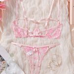 Wholesale New Romantic Women Solid Bra & Brief Set Lace Halter Cross Women's Underwear Sexy Thin Bra and Lingerie Sets - 图片 4
