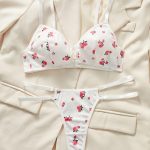 Wholesale Design Hot Sexy New Design Transparent Hot Sexy Bra Panty Set Lace Lingerie Women Bra and Panty Underwear Set - 图片 4