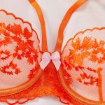 Women's Lace Embroidery Lingerie Set Sexy Mesh Bra Thong Floral Bras Panties Cheap Price Summer Seduction Bodysuits Underwear - 图片 4
