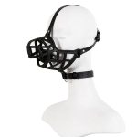 Mouth Harness With Ball Gag - 图片 4