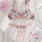 New Mesh Fabric Sexy and Seductive See-through Embroidered Lace Halter Bra Set for Women's Lingerie - 图片 4