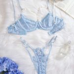A New Style of Blue Mesh Lace Ribbon Lace See-through Sexy and Romantic Underwear with European and American Style - 图片 4