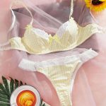 A Set of Sexy and Romantic Underwear with Yellow Mesh Lace Trim and Lace-like Edges, a Bestseller From Europe and America - 图片 4