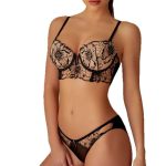 European and American Sexy Mesh Lace Underwear Embroidered Gathering Bra Sexy Underwear Bra Set - 图片 5