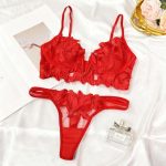 European and American Erotic Lingerie with a Deep Feminine Touch, V-embroidered Ultra-thin Lace Bra, Sexy Lingerie Set - 图片 5