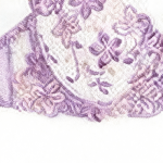 Women's Sexy Lace Bra Set Transparent Fashion Plus Size Luxurious Push-Up Sexy Lingerie Lace Bra and Briefs Set - 图片 5