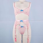 A New European and American Lake Blue Strappy Embroidered Bra Steel Frame See-through Sexy Lingerie Set of Three Pieces - 图片 5