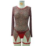 A New Long-sleeved, Hot, Sexy and See-through Fashionable Women's Lingerie Set, a Bestseller From Europe and America - 图片 5