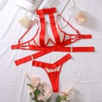 A Two-piece Set of Popular European and American Spliced Mesh Fabric See-through Low-cut Romantic Lingerie with a Beautiful Back - 图片 5