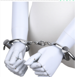 BDSM Professional Chrome-Nickel Plated Steel Handcuffs Use 2 Keys Double Lock Erotic Accessories New Hand Cuff - 图片 5