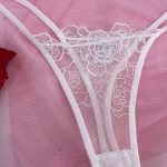 New Design Back Closure Sexi Brief Bra Set with Underwire Floral See Through Sexual Underwear - 图片 5