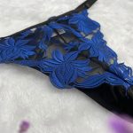 Pretty Blue Floral Embroidery Striking Black Mesh Bra and Thong Set Sexy Underwear with Light Lace Decoration - 图片 5