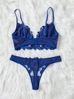 Wholesale Vendors Women Sexy Erotic Lingerie Set Hot Transparent Two Piece V Shape Decorative Lingerie Sexy Underwear Set - 图片 5