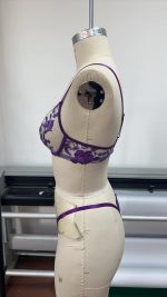 Wholesale Young Lady Fancy Push up Embroidered See Through Bra Top Sexy Bandage Erotica Bra Panty Set - 图片 5