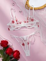 Wholesale Young Lady Fancy Push up Embroidered See Through Bra Top Sexy Bandage Erotica Bra Panty Set - 图片 5