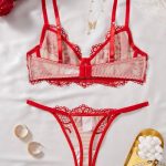 Hot Selling Sexy Lace Bra Set with Heavy Craft Floral Embroidery Floral Garter Belt Lingerie Cheap New Summer Erotic Underwear - 图片 5