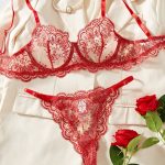 Manufacturers Sexy Lingerie Woman's Bra Bowknot Sexy Lingerie Underwear Two Piece Female White Set Women's Erotic Lingerie Suit - 图片 5
