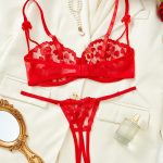 Hot Selling Cheap New Lace Sexy Bra Set Lingerie Erotic Underwear Embroidery Heavy Craft Floral Garter Belt Nighty Lingerie Set - 图片 5